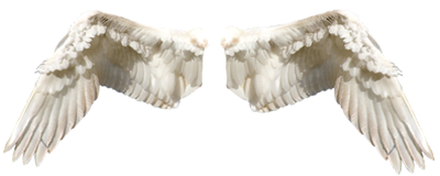 GASTHAUS ZUM ENGEL